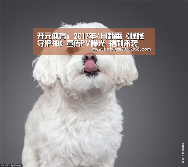 开元体育:2017年4月新番《怪怪守护神》宣传PV曝光 福利来袭(图3) 开元体验